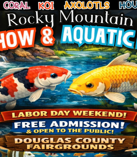 Bonsai Workshop at the Rocky Mountain Koi Show-Sept. 4th