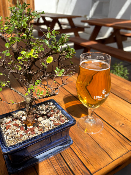 Bonsai & Beer at Long Table Brewhouse March 28th