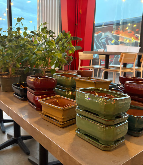 Bonsai & Beer at Left Hand Brewing-RiNo March 19th