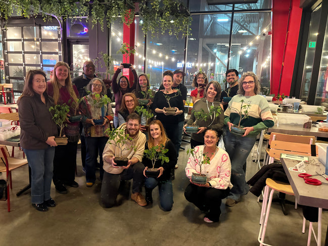 Bonsai & Beer at Downhill Brewing-Parker April 22nd