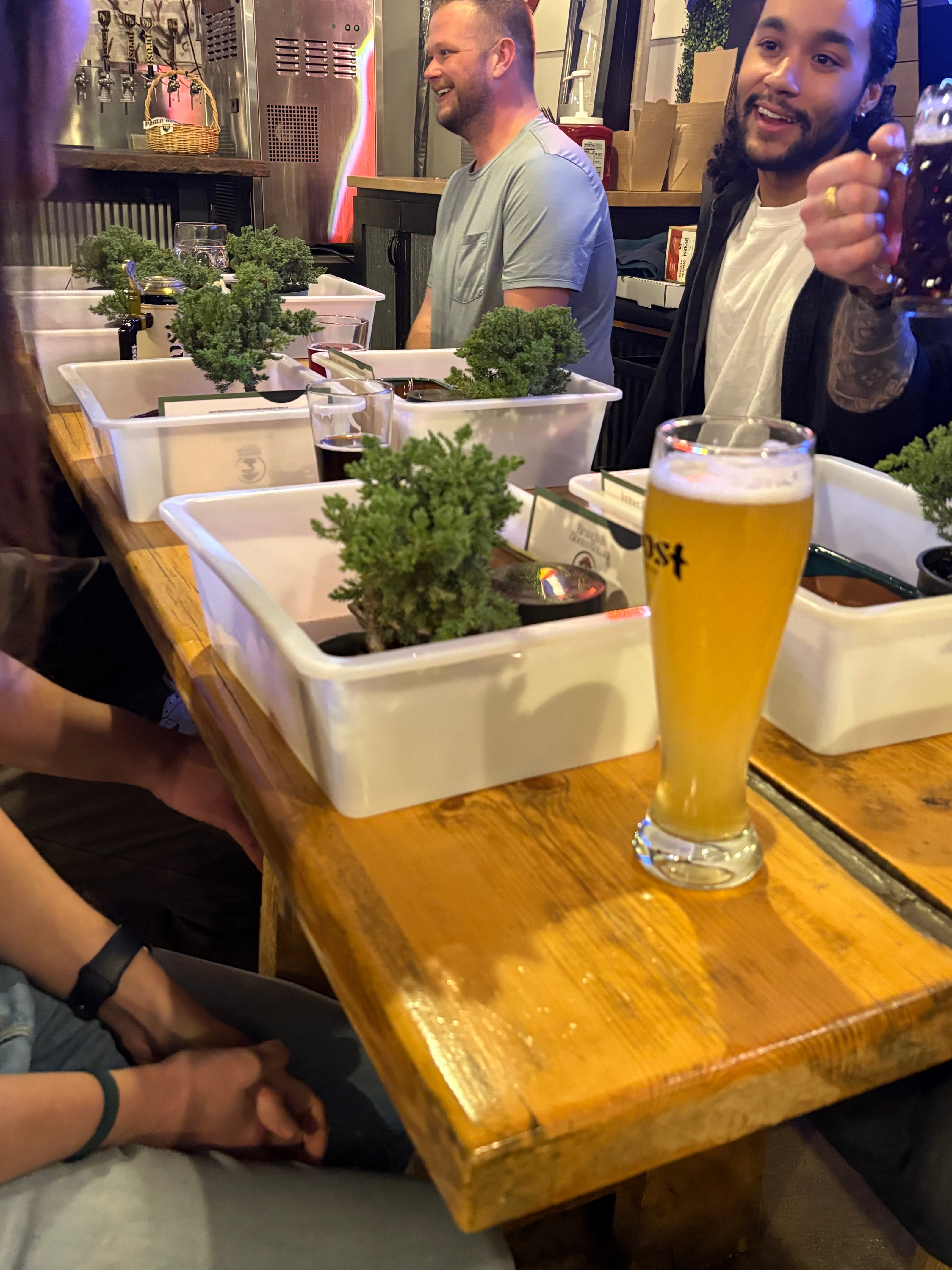 Bonsai & Beer at Prost Brewing-Denver May 13th