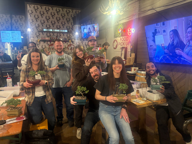 Bonsai & Beer at Prost Brewing-Denver May 13th