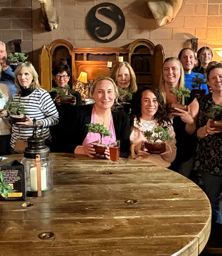 Bonsai & Beer at Satire Brewing April 23rd