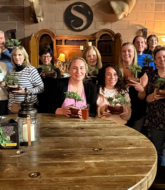 Bonsai & Beer at Satire Brewing March 25th