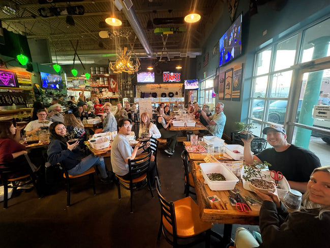 Bonsai & Beer at Downhill Brewing-Parker September 30th