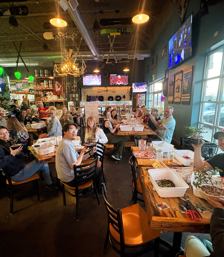 Bonsai & Beer at Downhill Brewing-Parker September 30th