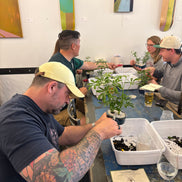 Bonsai and Beer at Sinners & Saints-Castle Rock Nov. 17th