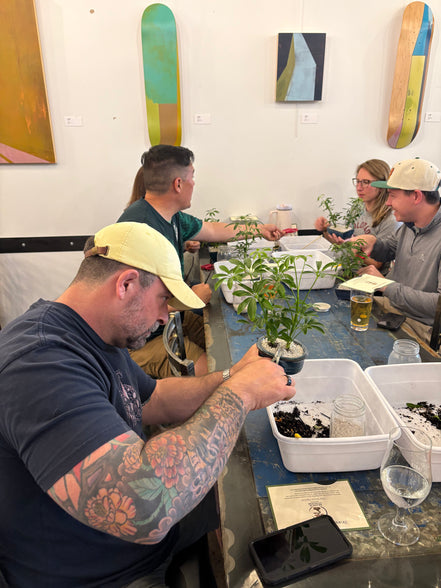 Bonsai & Beer at Long Table Brewhouse-Denver Sept. 27th