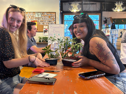 Bonsai & Beer at Satire Brewing-Thornton September 24th