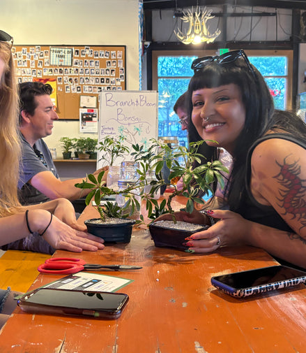 Bonsai & Beer at Prost Brewing-Denver September 23rd
