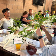 Bonsai and Beer at Sinners & Saints-Castle Rock Nov. 17th
