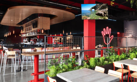 Bonsai & Beer at Left Hand Brewing-RiNo May 24th