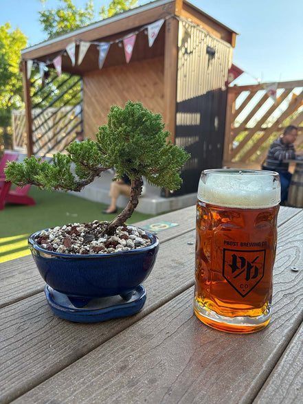 Bonsai & Beer at Prost Brewing-Denver May 13th