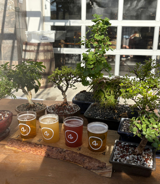 Beginner Bonsai Workshop @ 4 Noses Brewing Nov. 8th