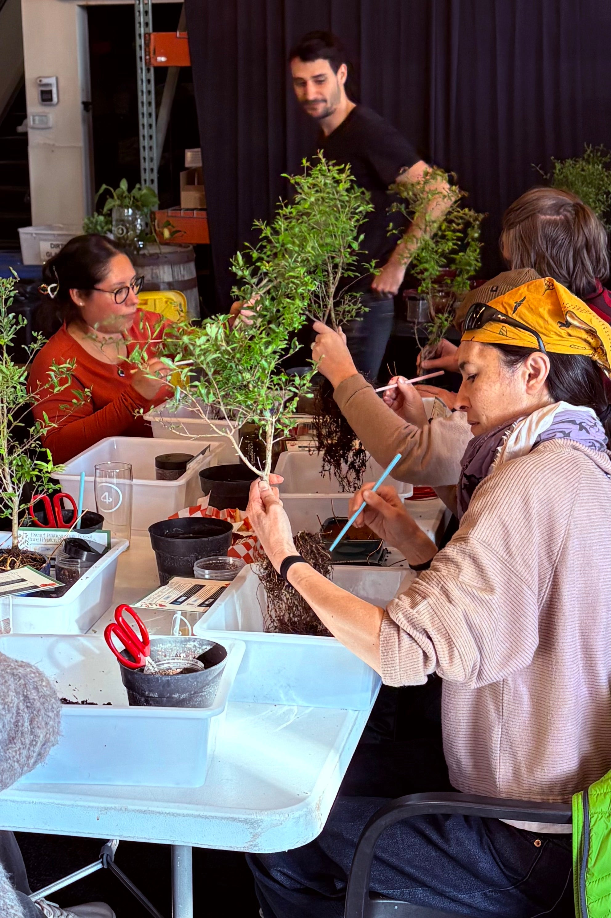 Bonsai & Beer at Long Table Brewhouse March 28th